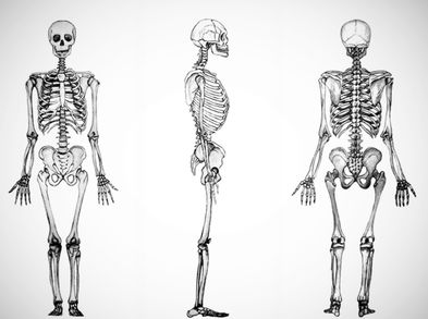 ¿Qué es la Artritis Reumatoide?