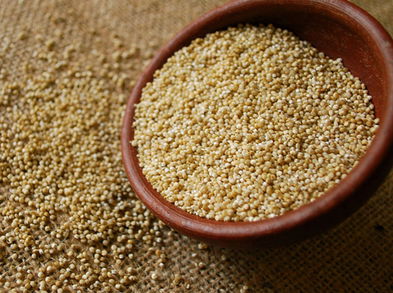 La quinoa, un alimento con múltiples propiedades y usos