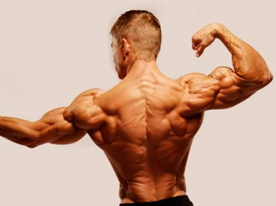 Los mejores ejercicios para tonificar los hombros