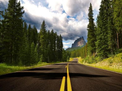 ¿Cuál elegir, bicicleta de montaña o de carretera?