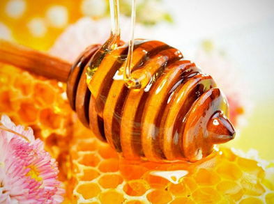 La miel, un alimento milenario lleno de beneficios