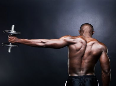 Los principios básicos del entrenamiento