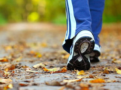 Caminar, una buena forma de combatir la obesidad
