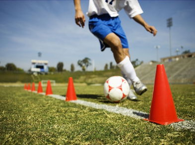 La periodización del entrenamiento durante la preparación física