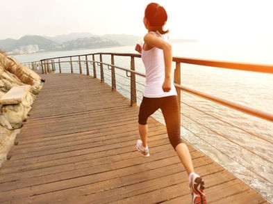 El cardio, ¿extensivo o intensivo?