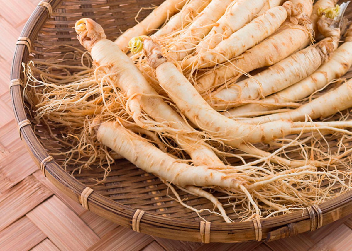 Ginseng destacada