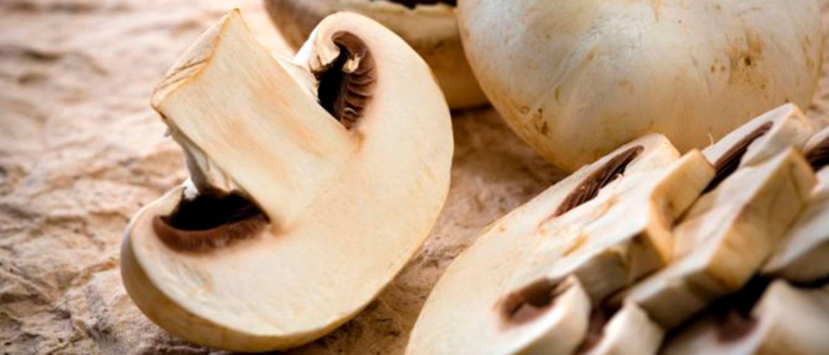 5 alimentos saludables con un alto contenido en vitamina D