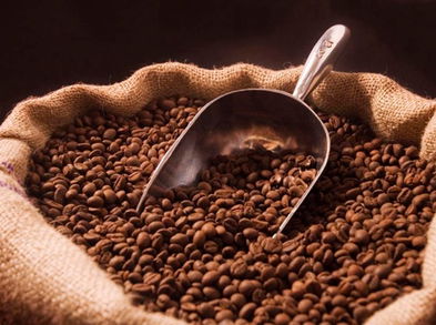 ¿No te gusta el café pero sí te convencen sus efectos? Prueba estas tres alternativas