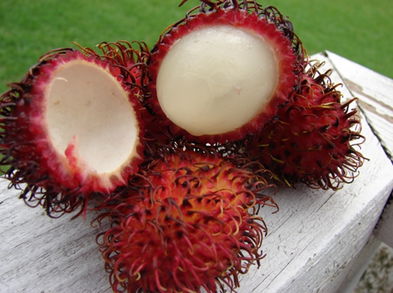 ¿Qué es el rambután?