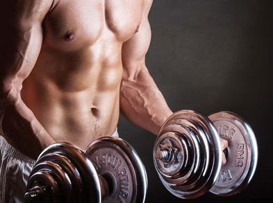 Métodos de entrenamiento de fuerza según objetivos