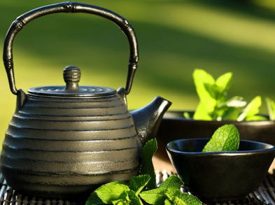 Las 3 mejores hierbas medicinales para fortalecer tus pulmones