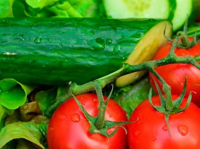 Descubre cuáles son los mejores alimentos para mantenerte hidratado