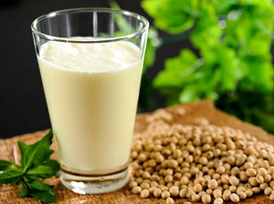 Bebidas saludables a base de leche de soja