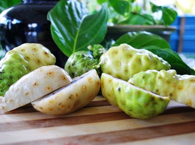 Propiedades del noni para bajar de peso