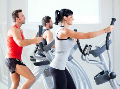 Bicicleta elíptica vs Caminata ¿Qué es más adecuado para entrenar?