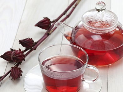 Beneficios de la flor de Jamaica para la salud