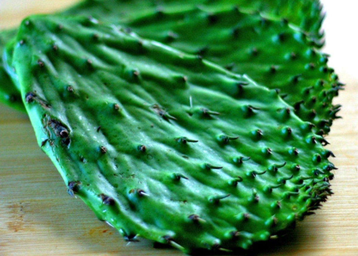 Beneficios nopal