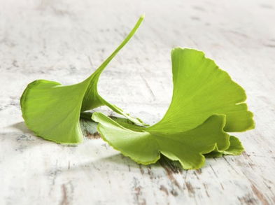 Conoce la importancia del árbol de los 40 escudos en el deportista