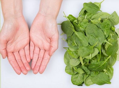 ¿Sabes cuál debe ser el tamaño de las porciones para perder peso? Aquí te lo contamos