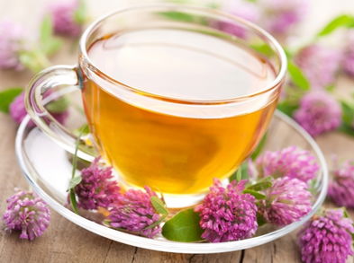 4 plantas con propiedades analgésicas para aliviar dolores