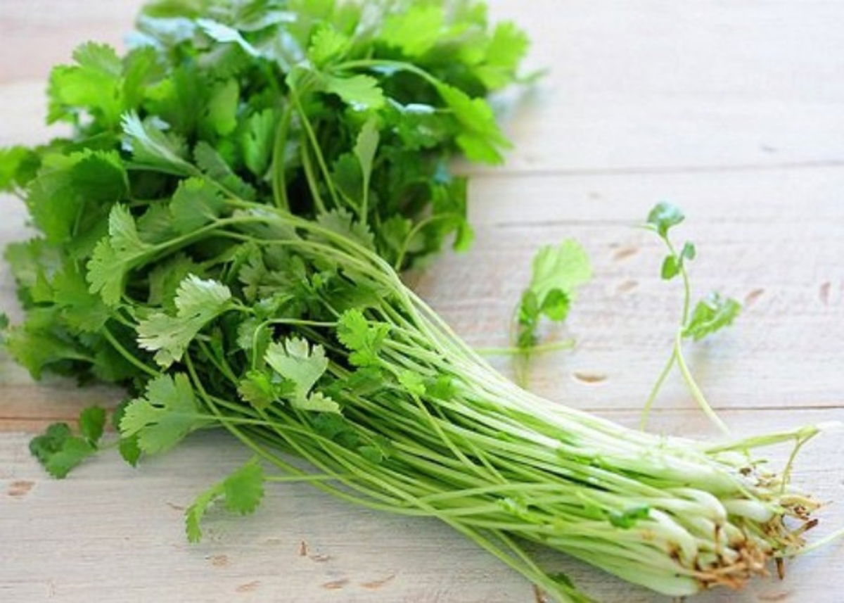Beneficios cilantro