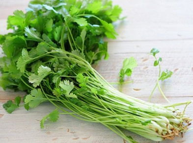 Conoce los 5 poderosos beneficios de comer cilantro