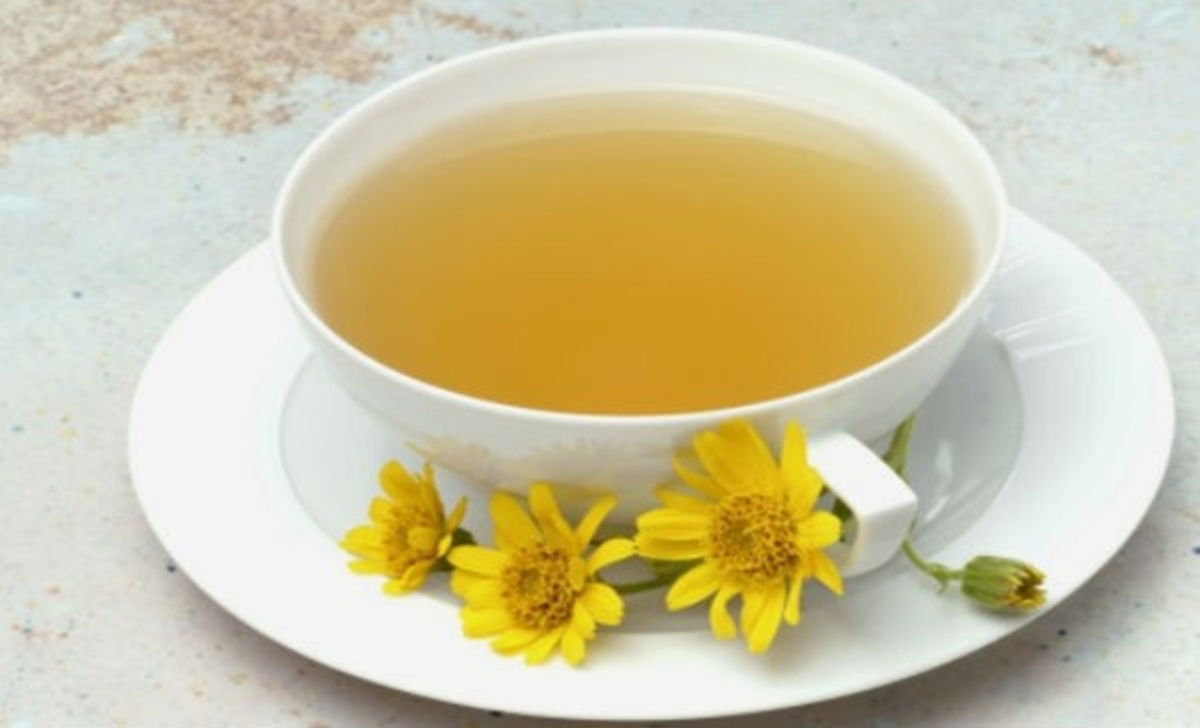 Infusión de la árnica montana