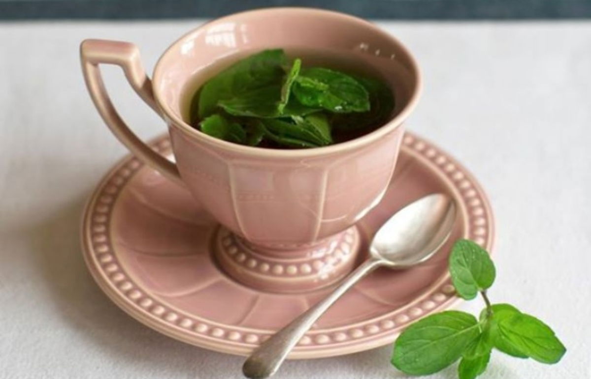 Infusión menta