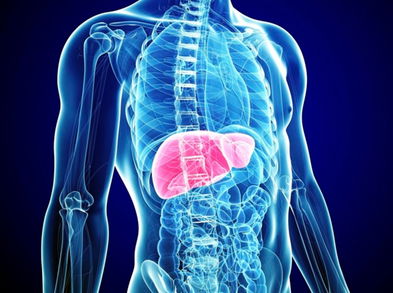 6 consejos para limpiar tu cuerpo de los excesos y el alcohol
