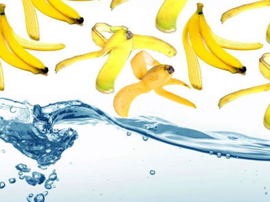 ¿Por qué debes comer un plátano antes de tu próximo entrenamiento?