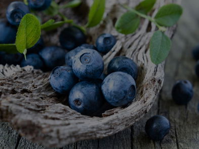 Descubre los sorprendentes beneficios del Acai Berry