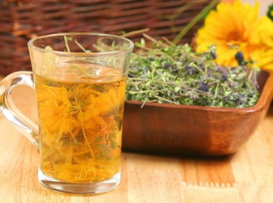 5 infusiones nocturnas para desintoxicar tu cuerpo