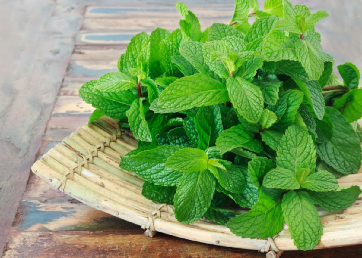Beneficios hierbabuena