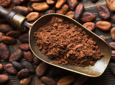 El extracto de cacao contra la enfermedad del Alzheimer