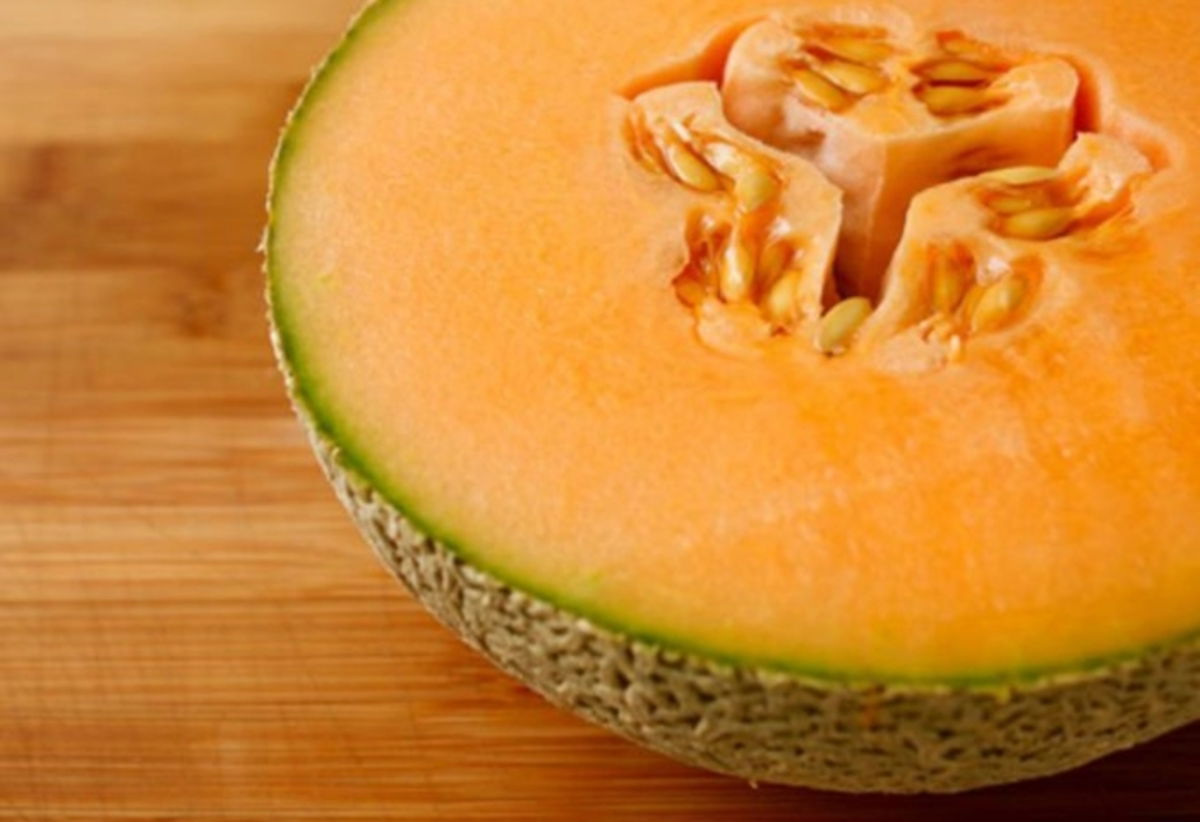 Melón