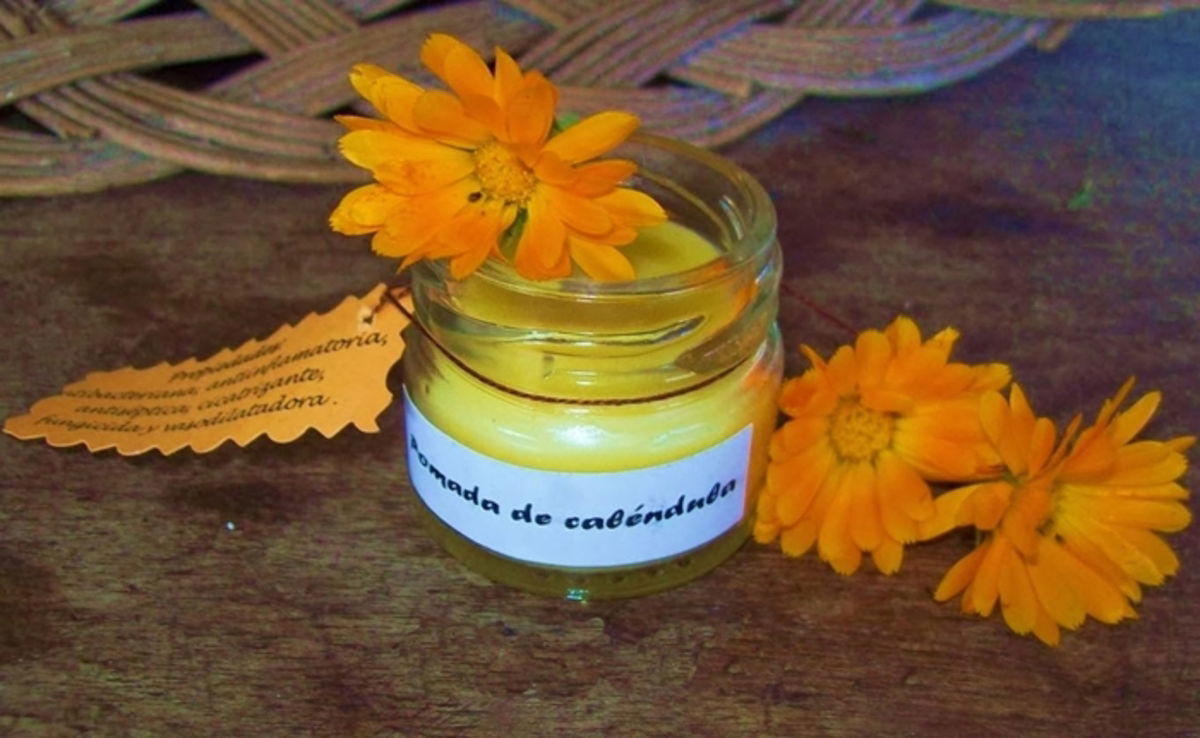 calendula