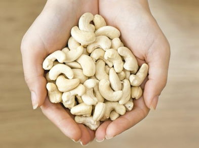 Conoce los beneficios de las castañas de cajú