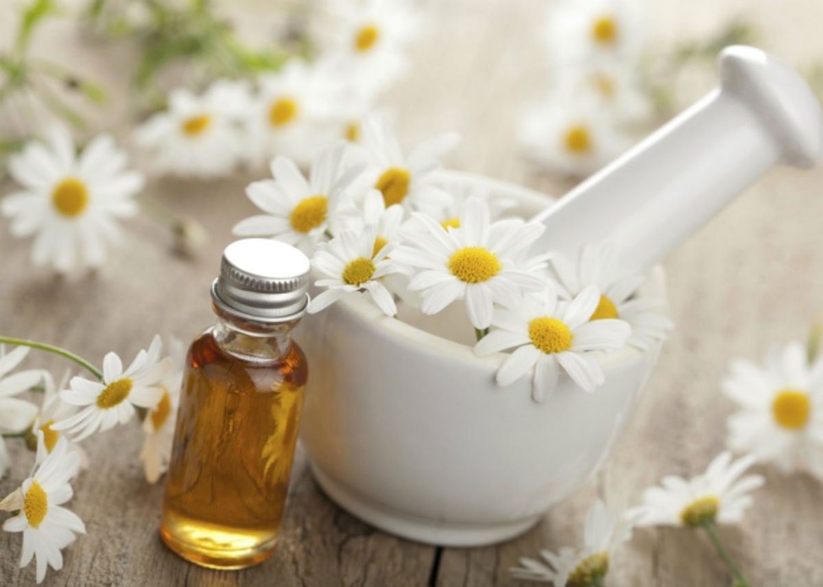 Beneficios manzanilla