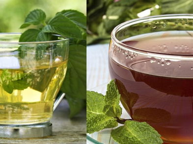 ¿Cuál es la mejor infusión según sus virtudes? Té verde vs Té negro