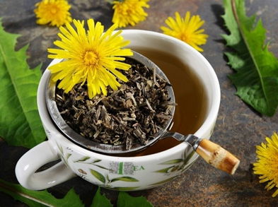 Elimina la retención de líquidos con diente de león