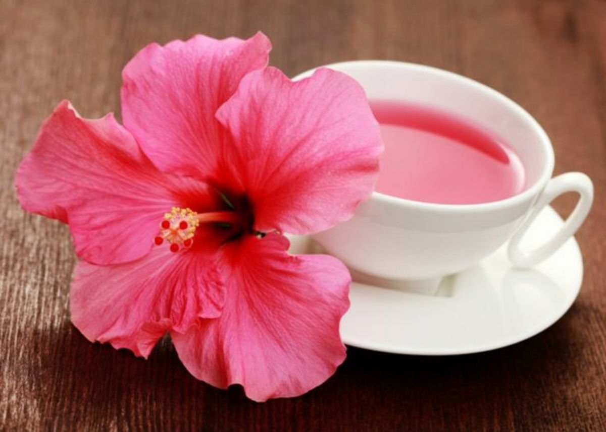 Infusiones para un óptimo rendimiento deportivo