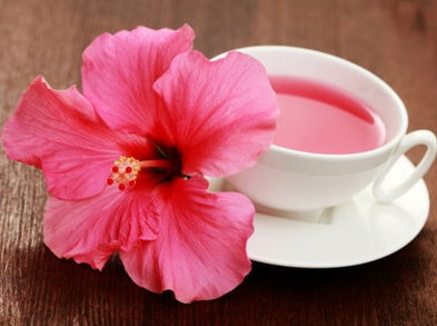 Adelgaza sin hambre con este plan con hibisco