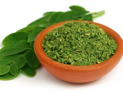 La moringa y su poder antiinflamatorio te ayudará a calmar los dolores reumáticos