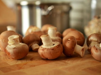 Conoce los hongos que te alargarán la vida