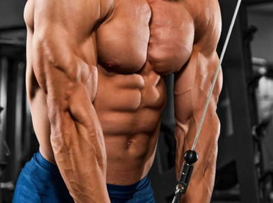 3 sugerencias de ejercicios para tríceps