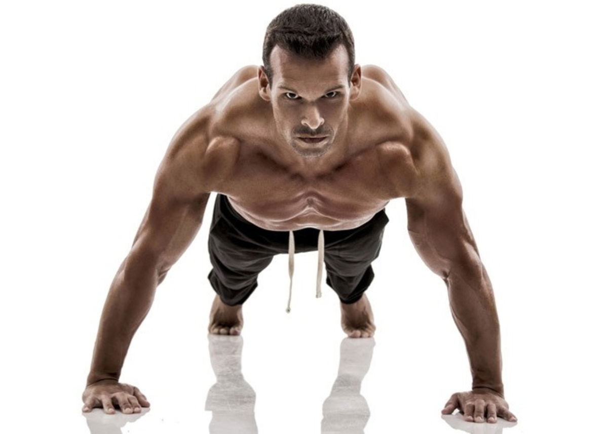 lagartijas-facilmente