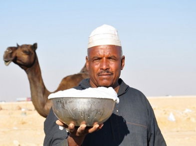 Leche de camella, alimento con grandes propiedades