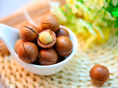 Consumir nueces de macadamia ayuda a reducir el colesterol