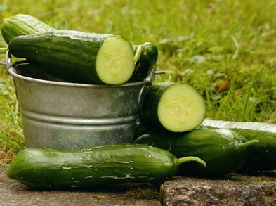 Beneficios y propiedades del pepino
