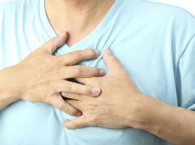 ¿El colesterol es un amigo o un enemigo de la salud? ¡Descúbrelo aquí!